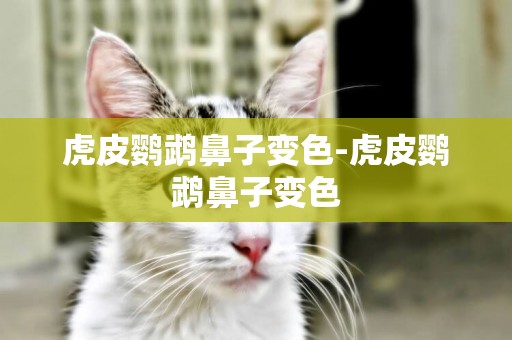 虎皮鸚鵡鼻子變色-虎皮鸚鵡鼻子變色