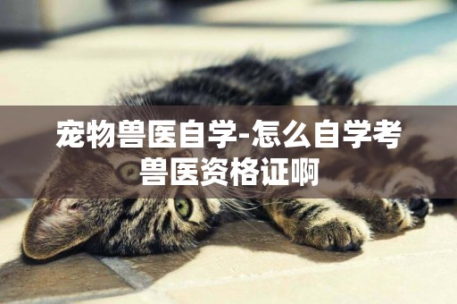 寵物獸醫自學-怎么自學考獸醫資格證啊
