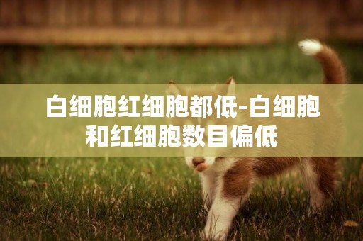 白細胞紅細胞都低-白細胞和紅細胞數目偏低