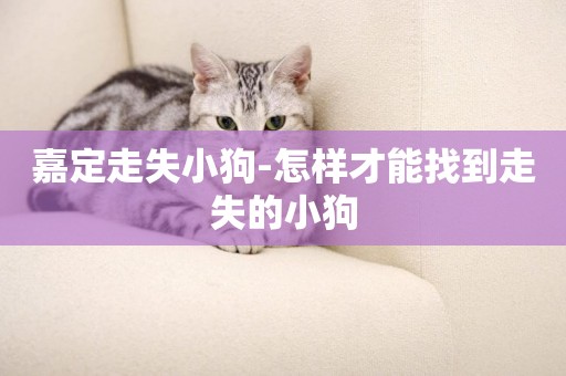 嘉定走失小狗-怎樣才能找到走失的小狗
