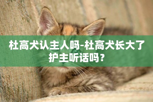 杜高犬認主人嗎-杜高犬長大了護主聽話嗎？