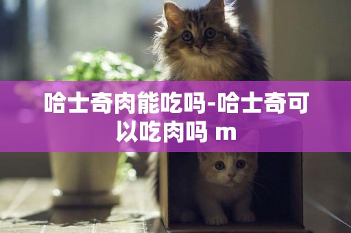哈士奇肉能吃嗎-哈士奇可以吃肉嗎 m