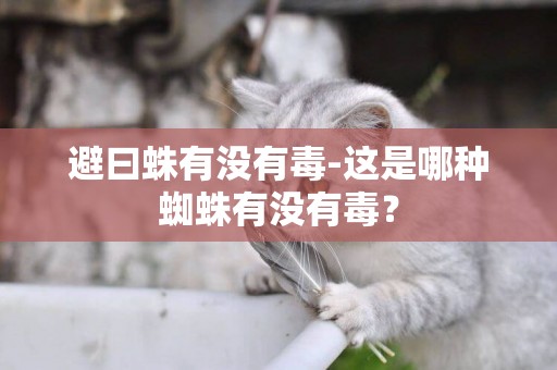 避曰蛛有沒有毒-這是哪種蜘蛛有沒有毒？