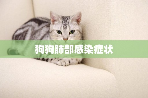 狗狗肺部感染癥狀