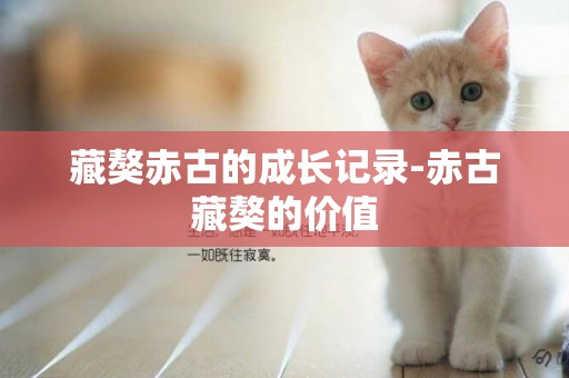 藏獒赤古的成長記錄-赤古藏獒的價值