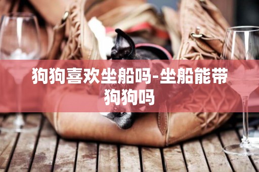 狗狗喜歡坐船嗎-坐船能帶狗狗嗎