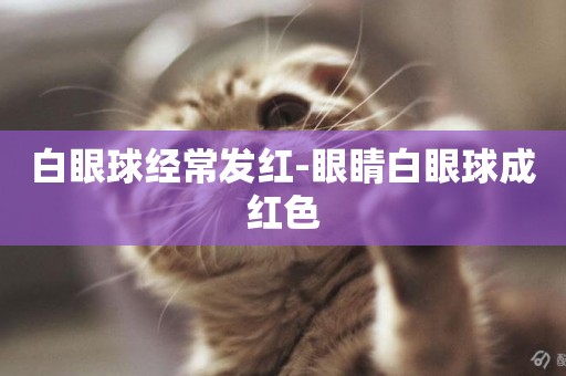 白眼球經常發紅-眼睛白眼球成紅色