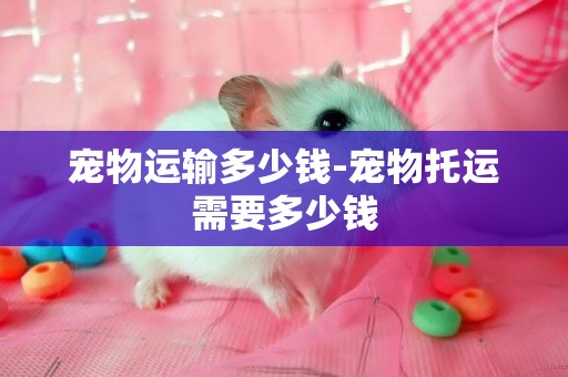 寵物運輸多少錢-寵物托運需要多少錢