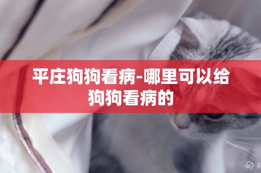 平莊狗狗看病-哪里可以給狗狗看病的