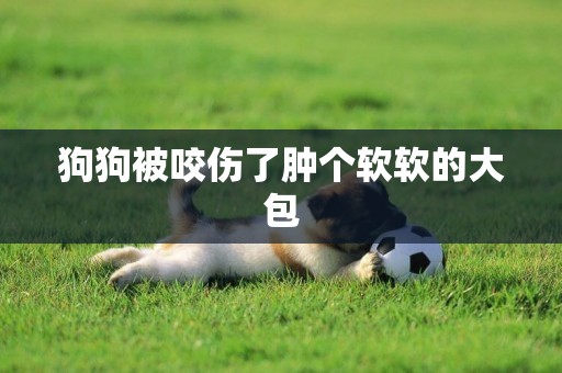 狗狗被咬傷了腫個軟軟的大包