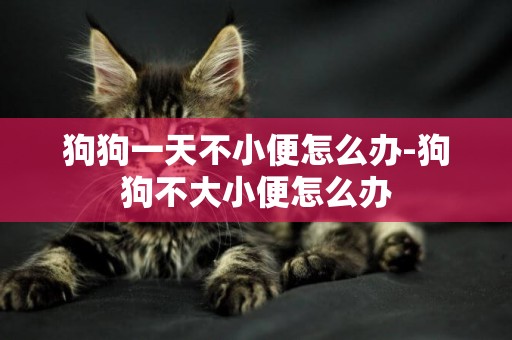 狗狗一天不小便怎么辦-狗狗不大小便怎么辦