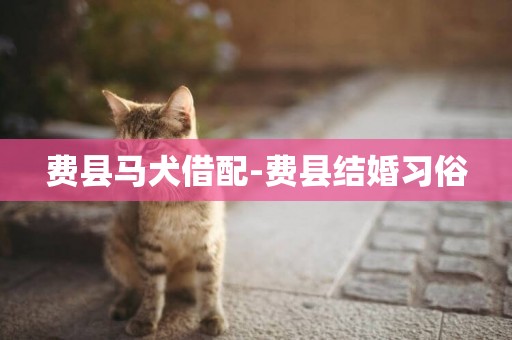 費縣馬犬借配-費縣結婚習俗