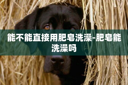 能不能直接用肥皂洗澡-肥皂能洗澡嗎