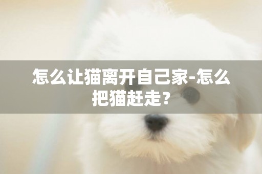 怎么讓貓離開自己家-怎么把貓趕走？