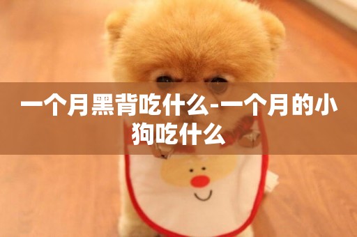 一個月黑背吃什么-一個月的小狗吃什么