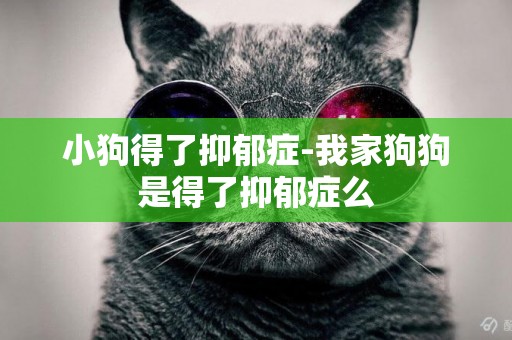小狗得了抑郁癥-我家狗狗是得了抑郁癥么