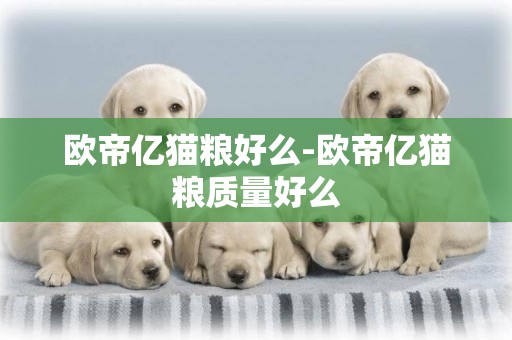 歐帝億貓糧好么-歐帝億貓糧質量好么