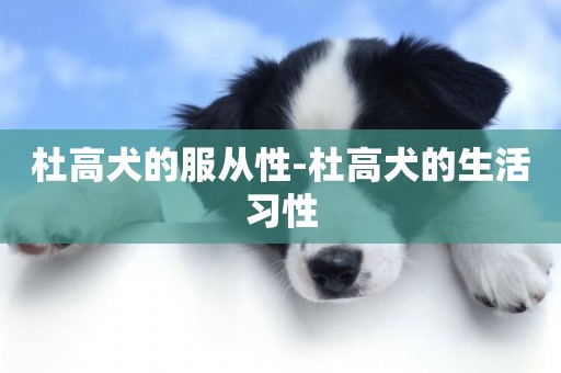 杜高犬的服從性-杜高犬的生活習性