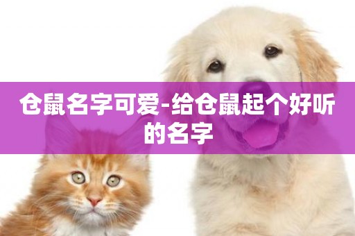 倉鼠名字可愛-給倉鼠起個好聽的名字