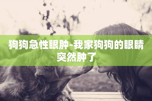 狗狗急性眼腫-我家狗狗的眼睛突然腫了