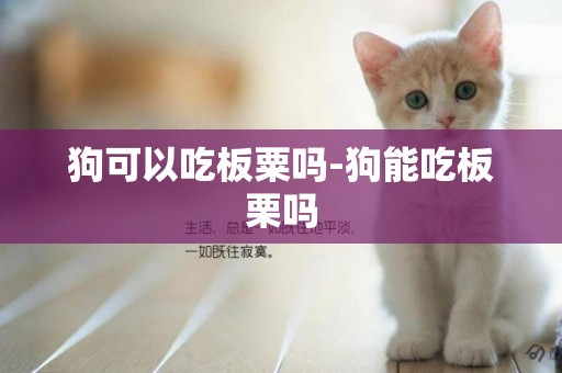 狗可以吃板粟嗎-狗能吃板栗嗎