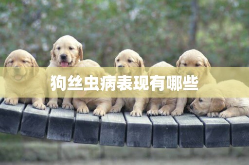 狗絲蟲病表現有哪些