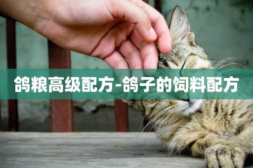 鴿糧高級配方-鴿子的飼料配方