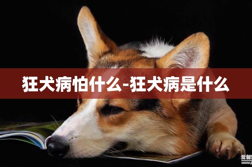 狂犬病怕什么-狂犬病是什么