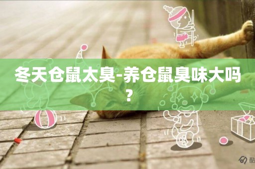 冬天倉鼠太臭-養倉鼠臭味大嗎？