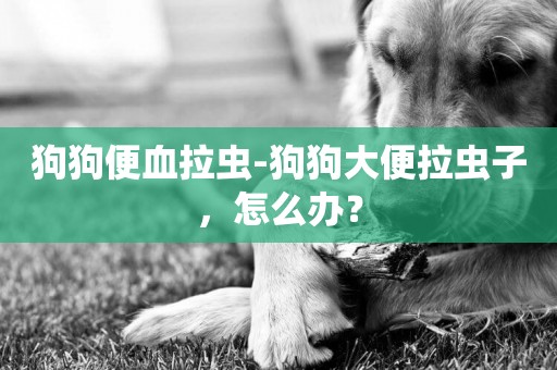 狗狗便血拉蟲-狗狗大便拉蟲子，怎么辦？