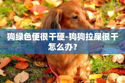 狗綠色便很干硬-狗狗拉屎很干怎么辦？