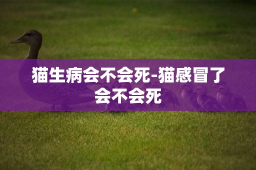 貓生病會不會死-貓感冒了會不會死