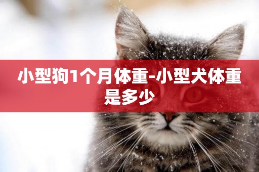 小型狗1個月體重-小型犬體重是多少