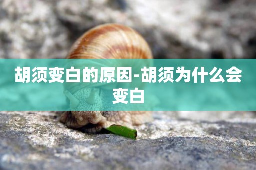 胡須變白的原因-胡須為什么會變白