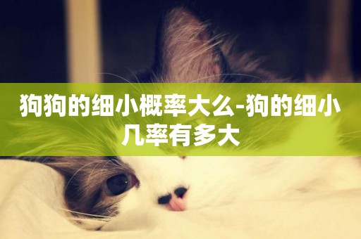 狗狗的細小概率大么-狗的細小幾率有多大
