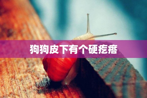 狗狗皮下有個硬疙瘩