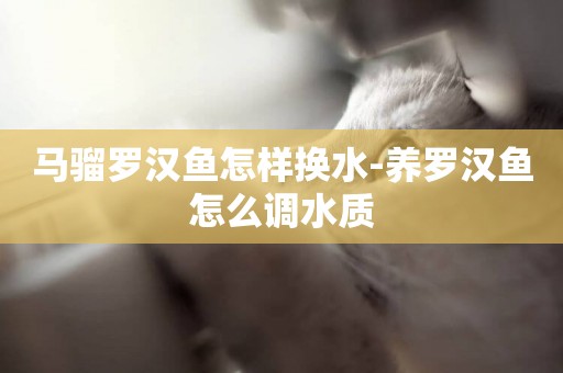 馬騮羅漢魚怎樣換水-養羅漢魚怎么調水質