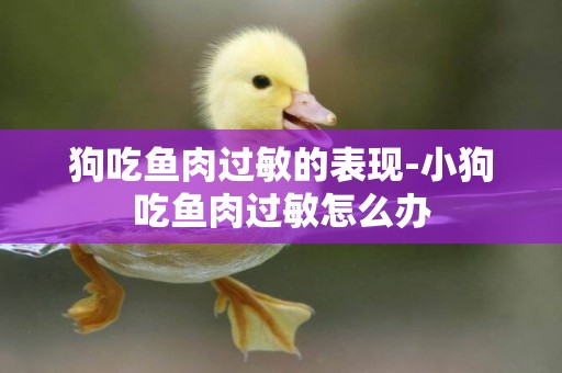狗吃魚肉過敏的表現-小狗吃魚肉過敏怎么辦