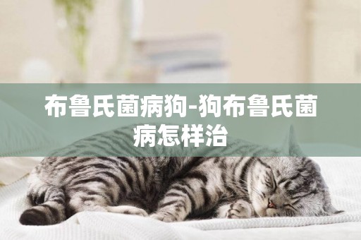 布魯氏菌病狗-狗布魯氏菌病怎樣治