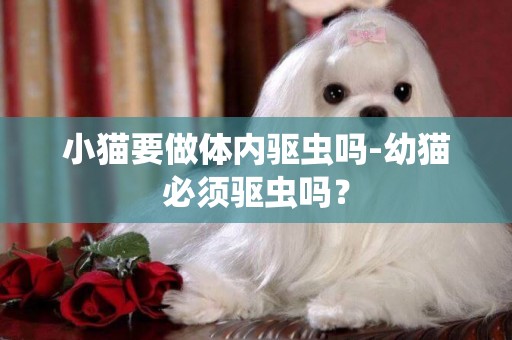 小貓要做體內驅蟲嗎-幼貓必須驅蟲嗎？