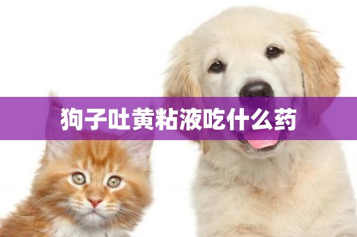 狗子吐黃粘液吃什么藥