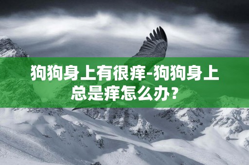狗狗身上有很癢-狗狗身上總是癢怎么辦？