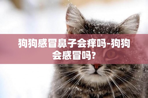 狗狗感冒鼻子會癢嗎-狗狗會感冒嗎?