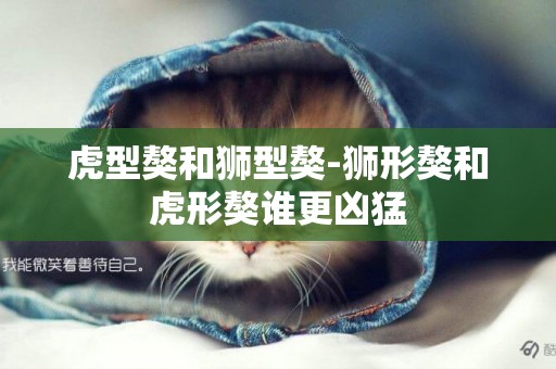 虎型獒和獅型獒-獅形獒和虎形獒誰更兇猛