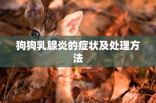狗狗乳腺炎的癥狀及處理方法
