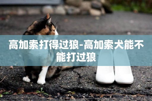 高加索打得過狼-高加索犬能不能打過狼