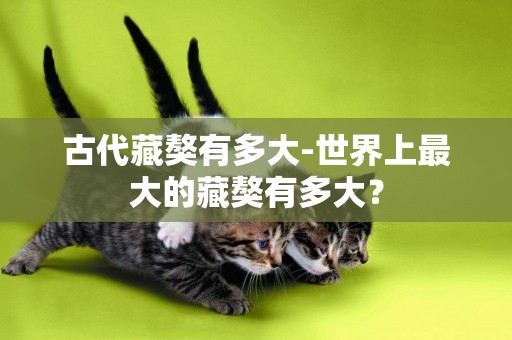 古代藏獒有多大-世界上最大的藏獒有多大？