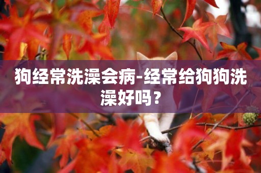 狗經常洗澡會病-經常給狗狗洗澡好嗎？