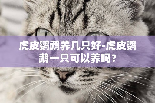 虎皮鸚鵡養幾只好-虎皮鸚鵡一只可以養嗎？