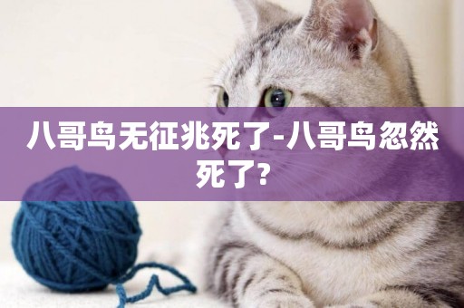 八哥鳥無征兆死了-八哥鳥忽然死了?